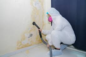 Reliable Farmville, VA Mold Remediation Solutions